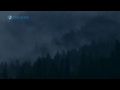 Pulsar Night Vision Guide