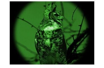 Image of ATN Night Scout VX-2, Night Vision Binocular, 2+ Gen 40-45 lp/mm NVBNNSCV20