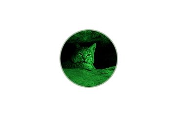 Image of ATN Night Vision