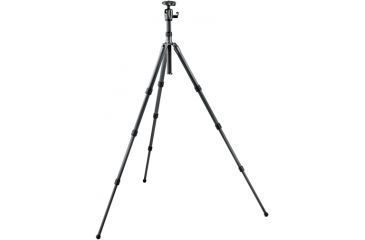 Image of Gitzo Series 2 Carbon Fiber 6X Traveler with GH2781TQR Ball Head GK2580TQR