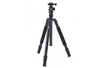 Image of Sirui T-2004XL Tripod With E-20 Ball Head, Black SUT2004XL