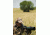 Alpen Rainier 20-60x80 HD ED Glass Spotting Scope, Green+Black, Angled Eyepiece 853ED