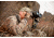 Armasight Dark Strider 5x Night Vision Binocular NKBDASTRI511I11
