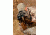 Armasight Dark Strider Gen 1+ Night Vision Binocular NKBDASTRI511I11 In Use