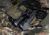 Armasight Eagle QS Dual Tube 3x Night Vision Binocular Gen 2Plus Quick Silver White Phosphor