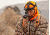 Armasight Vega Gen 1+ Night Vision Goggles NKGVEGA00111I11