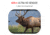 ATN X-Sight 5 3-15x UHD Smart Day/Night Hunting Rifle Scope, 30mm Tube w/ Gen 5 Sensor, Multiple Patterns &amp; Color Options Reticle, Black, DGWSXS3155P