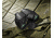 Barska 7x50 Battalion Compact Porro BaK-7 Prism Binoculars, Black w/ Internal Rangefinder AB11038