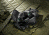 Barska 7x50 Battalion Compact Porro BaK-7 Prism Binoculars, Black w/ Internal Rangefinder AB11038