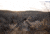 BOG DeathGrip Infinite, Carbon Fiber, 1163389