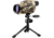 Bushnell Sentry 12-36x50mm Camo Spotting Scope