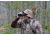 German Precision Optics GPO PASSION HD 10x42HD Binocular, Charcoal Black, 10x42HD, B620