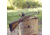 Hi-Lux Wm. Malcolm H&amp;R Buffalo Classic Rifle Base, HRBCRB