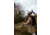 Kite Optics Mini SP 12-36x56mm Spotting Scope