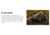 Kite Optics Mini SP 12-36x56mm Spotting Scope