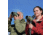 Kowa TS-55 PROMINAR 17-40x55mm Spotting Scope, Angled, Green, TSN-55A