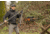 Leofoto Juggernaut S3 3-Section Inverted Precision Shooting Tripod Kit