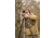 Leofoto Juggernaut S3 3-Section Inverted Precision Shooting Tripod Kit