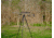Leofoto ST-364CLX Outdoors Tripod w/ Integrated Lever-Control Ballhead&amp;Lever-Release Clamp, Black, ST-364CLX