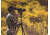 Leupold Golden Ring 20-60x80mm Spotting Scope,Shadow Gray 120376