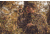 Leupold RX-650 Laser Rangefinder,Black 120464