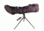 Levenhuk Blaze Spotting Scope, Black, Medium 50916