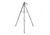 Levenhuk Tripod TR150 Durable, Black, Small 72706