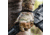 Magpul Industries Patrol Glove 2.0, Leather and Corded Nylon Construction