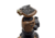 Manfrotto Alpha S.H.O.T. Tripod Ball Head Kit Carbon, Brown, 1102739