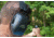 Pro Ears Ultra Gel 29 Hearing Protection, Black, PEUG29BBX