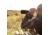 SightMark Latitude 15-45x60 Tactical Spotting Scope, Black, SM11033T