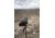 SightMark Solitude 11-33x50SE Spotting Scope Kit SM11030K