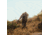 Spartan Precision Equipment Hoplite Tripod, Black, SP03-038-R