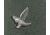Swarovski EL Binoculars logo