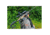 Ultradyne UD Carbon Tripod, Black, UD20016