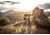 Vortex High Country II Tripod Kit, Black, 5x5x26.25, TR-HCY