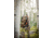 Vortex High Country II Tripod Kit, Black, 5x5x26.25, TR-HCY