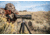 Vortex High Country II Tripod Kit, Black, 5x5x26.25, TR-HCY