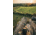 Vortex Mountain Pass Tripod Kit, Black, TR-MTP