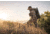 Vortex Razor HD 13-39x56 Spotting Scope, Straight, Green, RS-56S