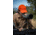 Winchester Supreme Optics W20-60x65mm Spotting Scope, Black/Gray, WQ-SS-SPRM12-20-60x65