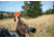 Winchester Supreme Optics W20-60x65mm Spotting Scope, Black/Gray, WQ-SS-SPRM12-20-60x65