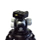 Double Tap Industries Stronghold Carbon Fiber Shooting Tripod w/Ball Head, Black, TRI-CF-002BH