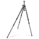 Gitzo Series 2 Carbon 6X Leveling Tripod - 3 Section with G-Lock GT2531LVL