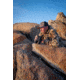 Leica Geovid R 10x42mm Rangefinder Binocular, LED, Black, 40812