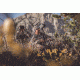 Leupold Golden Ring 12-40x60mm Spotting Scope,Shadow Gray 120371