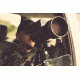 Leupold Golden Ring 20-60x80mm Spotting Scope,Shadow Gray 120376