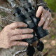 Nikon Monarch 3 8x42 Binocular In Use