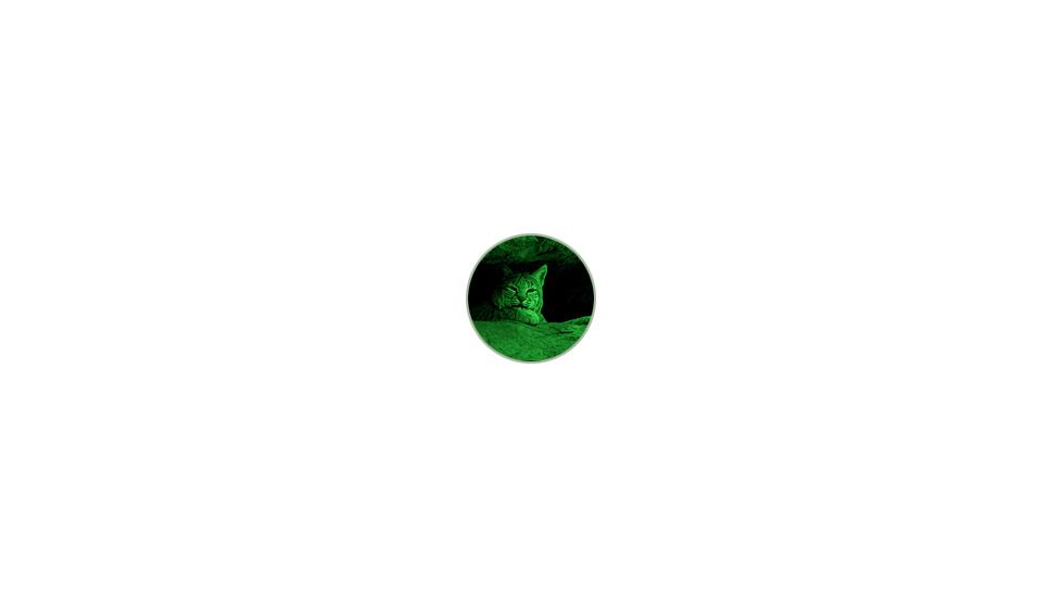 ATN Night Shadow IV Generation Night Vision Devices NVBNNSDW40 (12165)