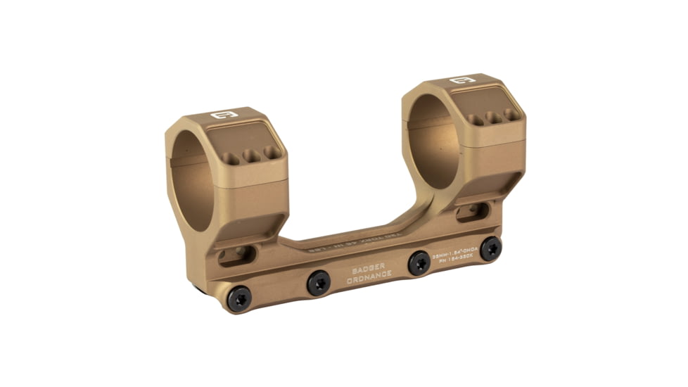 Badger Ordnance Condition One Max, Mount, 3